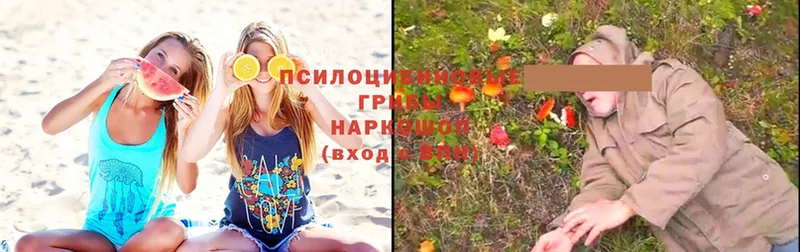 Псилоцибиновые грибы MAGIC MUSHROOMS  Буй 